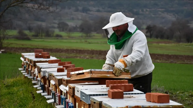 Принято 50 ульев в рамках проекта 