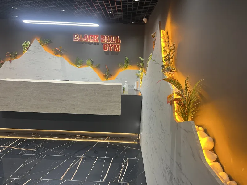 Black Bull Pro GYM — Gymnastique à Alanya: Commande en ligne, prix et avis